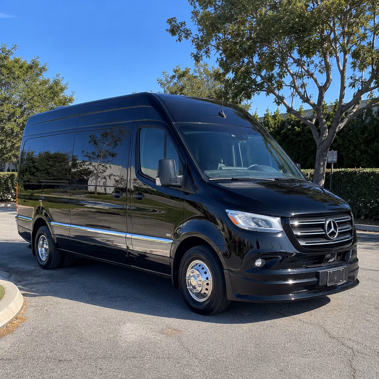 kid and tween birthday party sprinter van rentals in lansing michigan