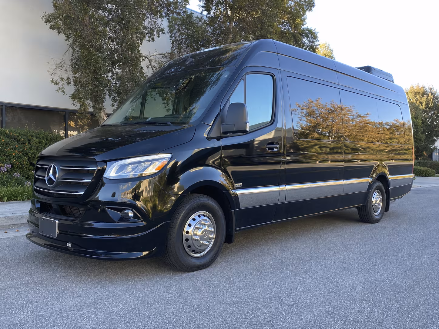 Lansing Birthday Transportation